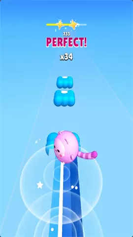 Jump in Rhythm to the Hit: Cat Disco