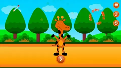 Point to Point Animals